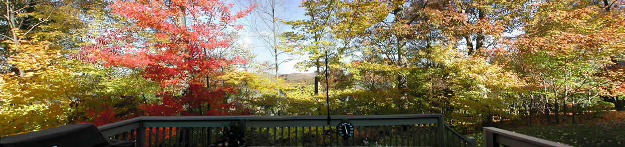 Click Here to Enlarge