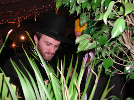 Click to display next picture