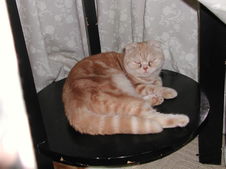 Click to display next picture