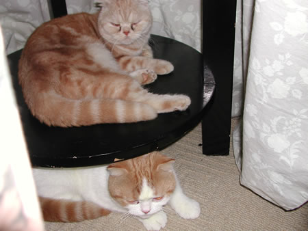 Click to display next picture