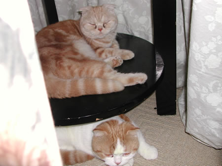 Click to display next picture