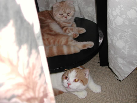 Click to display next picture