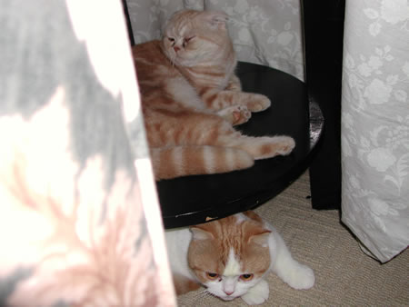 Click to display next picture