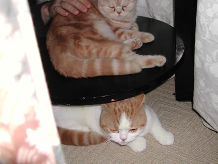 Click to display next picture