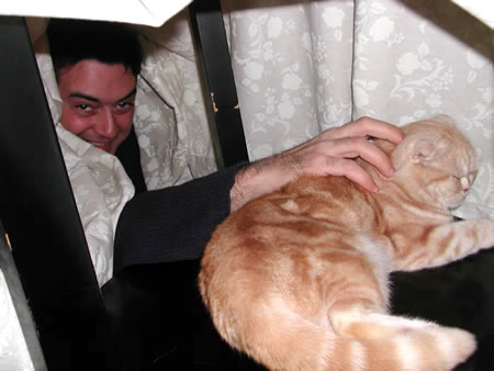 Click to display next picture