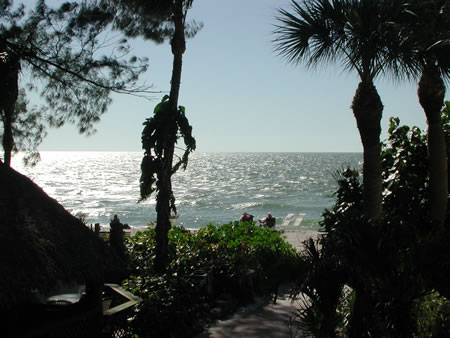 Click to display next picture