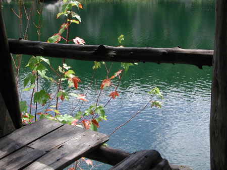 Click to display next picture