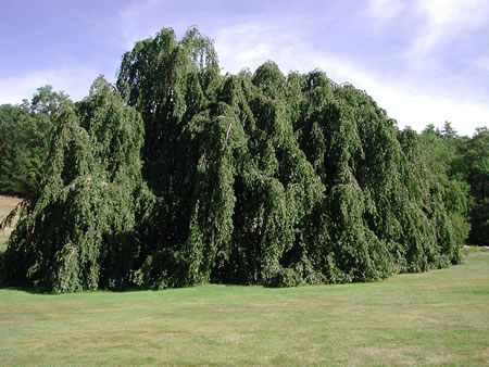 Click to display next picture