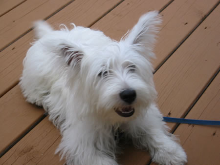 Click to display next picture