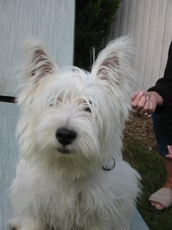 Click to display next picture