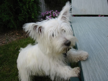 Click to display next picture