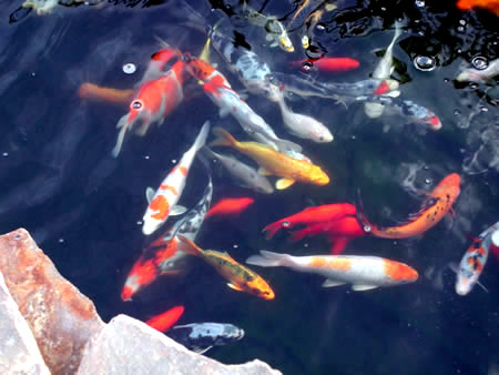 Click to display next picture