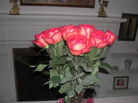 Click to display next picture