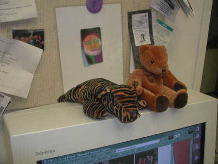 Click to display next picture