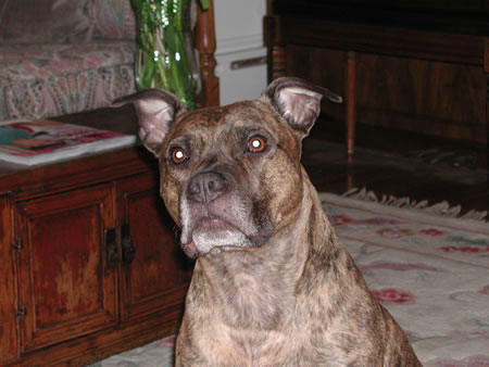 Click to display next picture